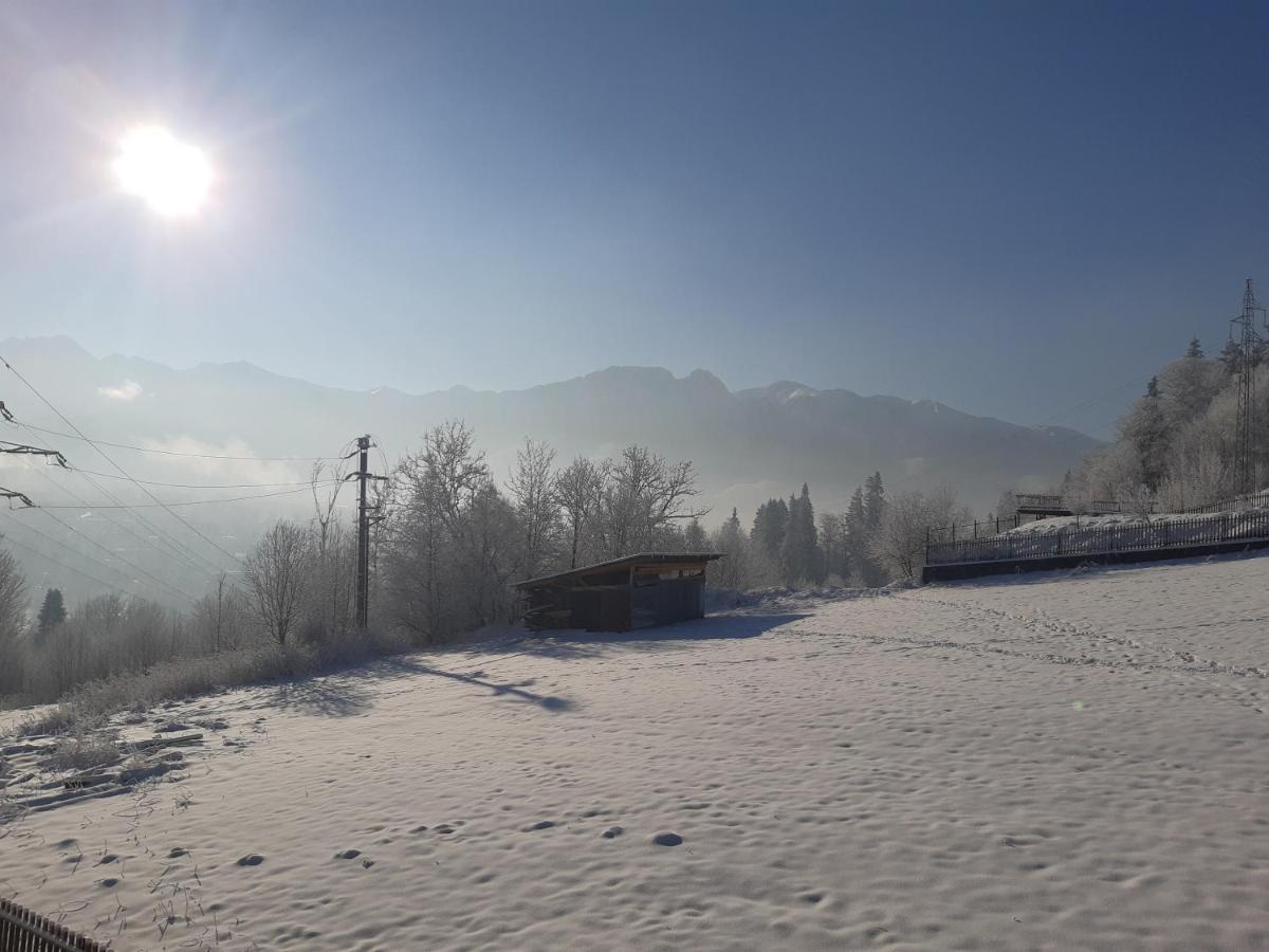 Willa Balamutka Zakopane Exteriör bild